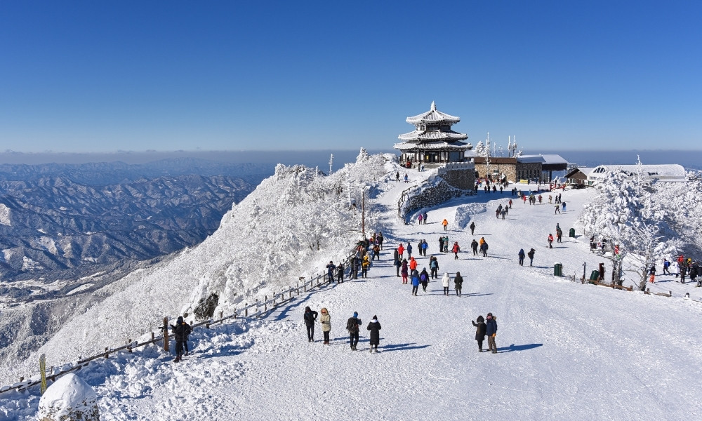 Du lịch Hàn Quốc mùa đông