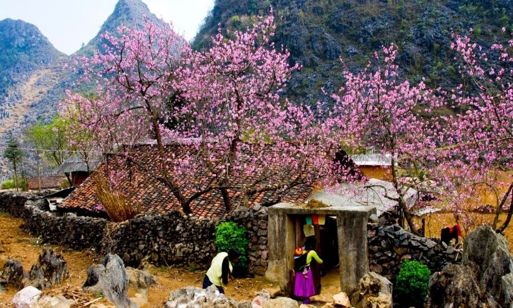 vé máy bay đi Tây An mùa Xuân