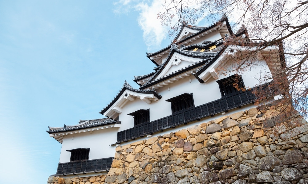 Giới thiệu về Shiga