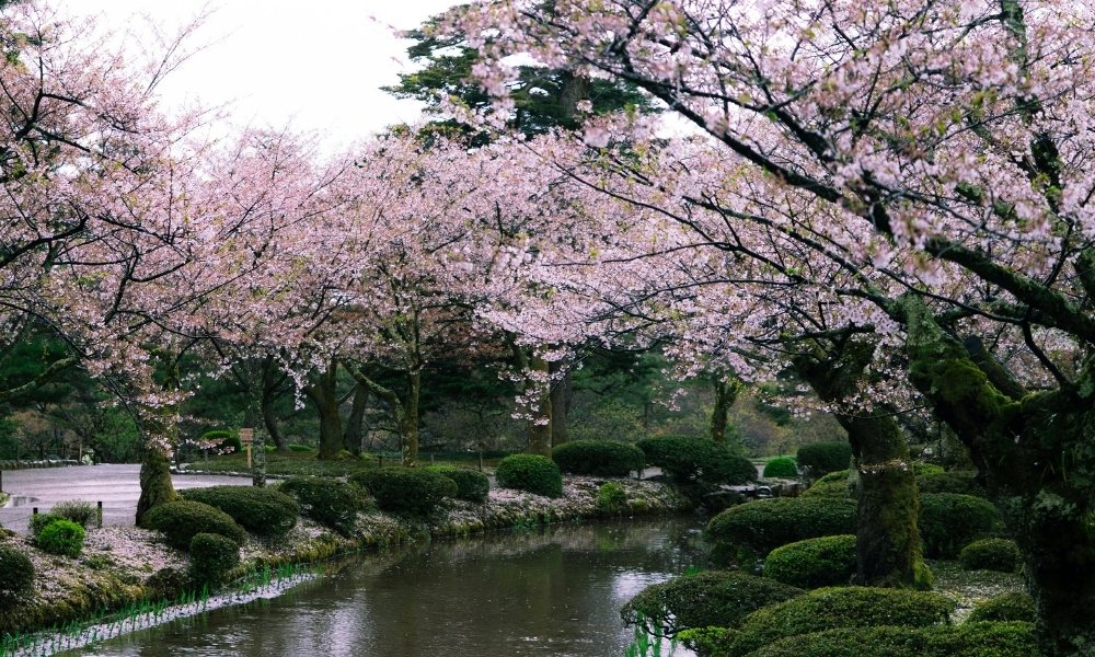 Vì sao nên chọn du lịch Nhật Bản tháng 2?