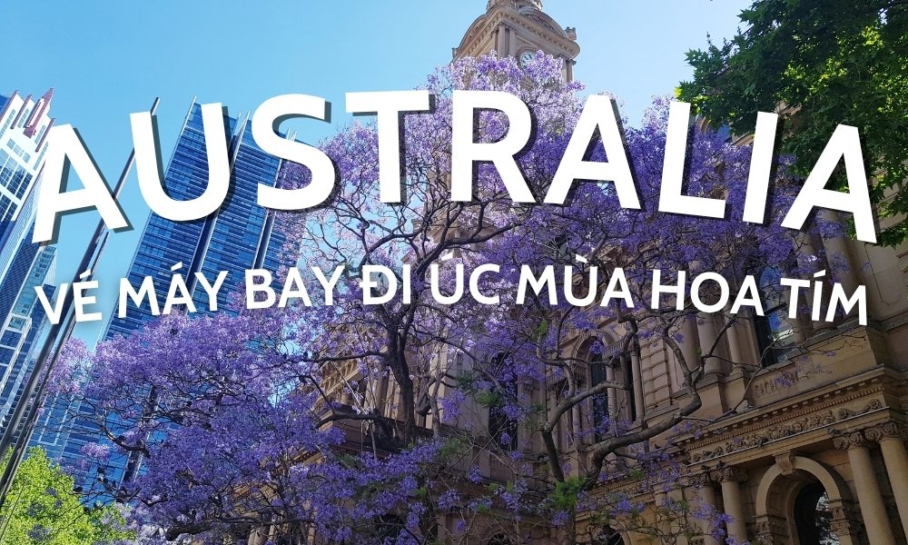 Vé máy bay đi Úc – Trải nghiệm mùa hoa phượng tím tại nước Úc