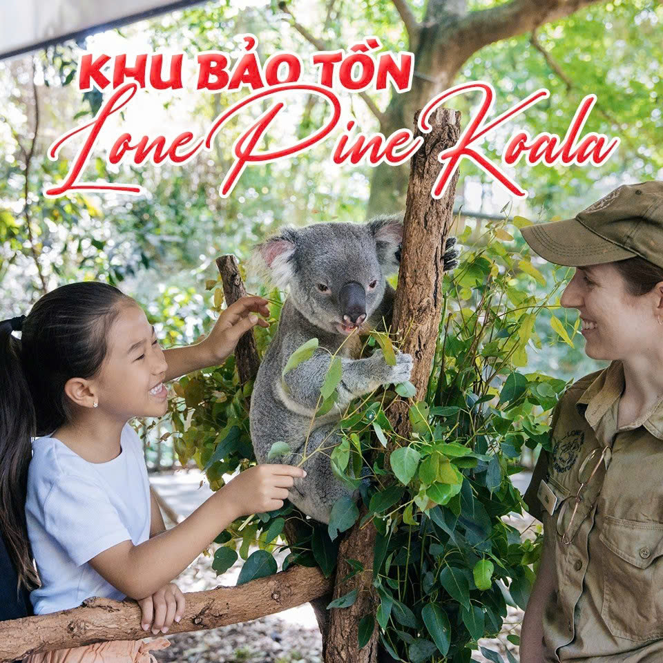 Kinh nghiệm săn vé máy bay đi Brisbane giá tốt