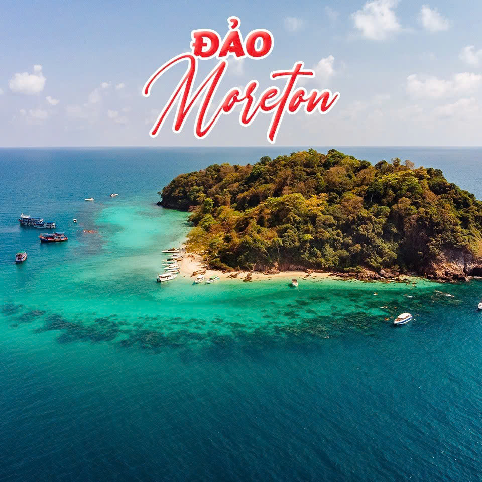 Thời điểm lý tưởng để đặt vé máy bay đi Brisbane