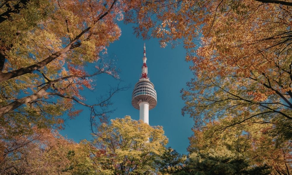 Vé máy bay đi Seoul Mùa thu